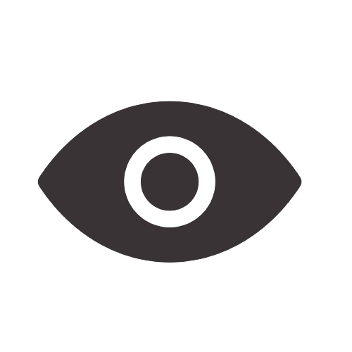 Toggle Password Visibility